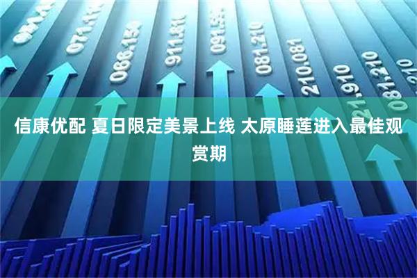 信康优配 夏日限定美景上线 太原睡莲进入最佳观赏期