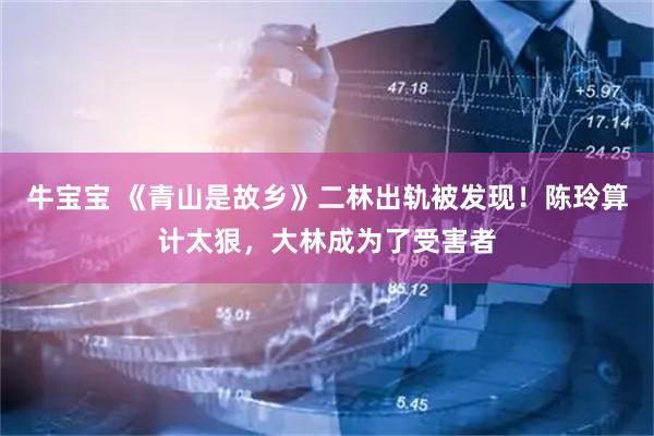 牛宝宝 《青山是故乡》二林出轨被发现！陈玲算计太狠，大林成为了受害者