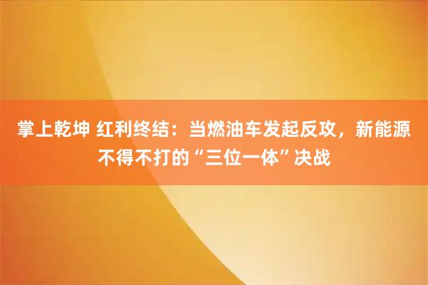 掌上乾坤 红利终结：当燃油车发起反攻，新能源不得不打的“三位一体”决战